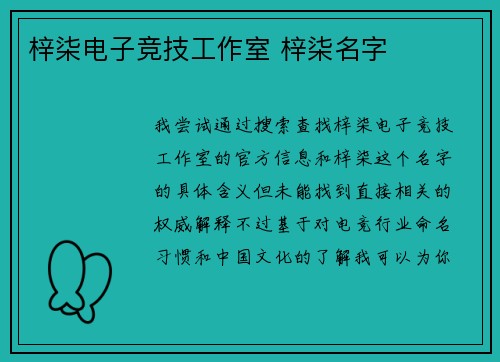 梓柒电子竞技工作室 梓柒名字